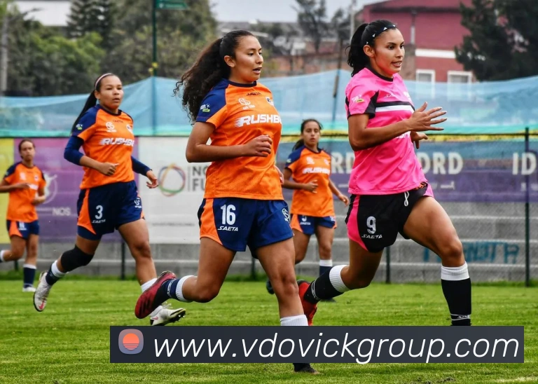 企业概况